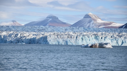 ‘Black carbon’ threat to Arctic as sea routes open up with global heating