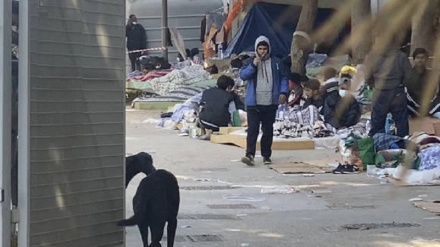 Sindaco Lampedusa, migranti restii a firmare carte per il vaccino