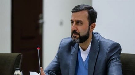 伊朗司法机构人权总部秘书：伊朗是世界各地人权的捍卫者