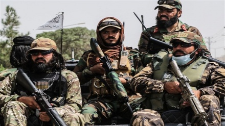 وزارت دفاع طالبان برای تشکیل ارتش جدید کمیته ویژه تشکیل داد