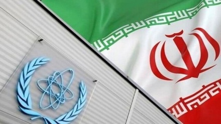伊朗常驻维也纳国际组织代表团副常驻代表评价原子能机构总干事的报告
