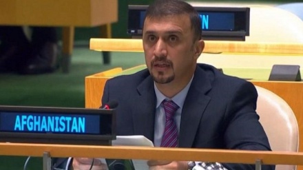 فایق: تلاش‌های سازمان ملل در قبال افغانستان بی‌نتیجه بوده است