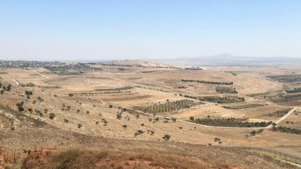 השר פריג' ייעדר מישיבת ממשלת ישראל במחאה על התוכנית לפיתוח רמת הגולן