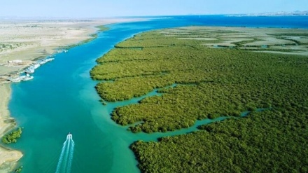 Хамир портининг табиий гўзалликлари