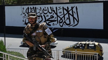 Толибон гуруҳи собиқ афғон аскарларини қатл этилганини инкор этишмоқда