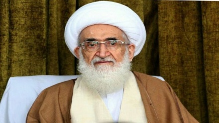  کشورهای اسلامی تصمیمی جدی در برابر هتک حرمت قرآن کریم بگیرند