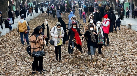 Bermain Daun Kering Musim Gugur (1)