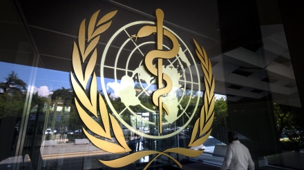 伊朗愿继续与世界卫生组织在传统医学领域保持合作