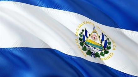 אל סלבדור: הבן של שר הביטחון נהרג בהתרסקות מטוס