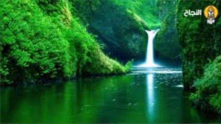 हूरों की वे कौन सी विशेषतायें हैं जिन्हें देखने के बाद समस्त लोग अंधे हो जायेंगे और अपने प्राण त्याग देंगे? 