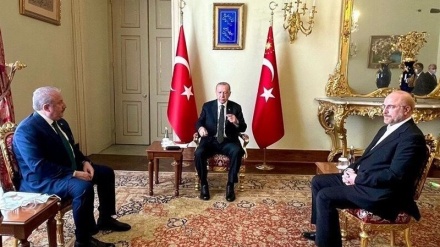 Kryeparlamentari i Iranit takohet me Erdogan