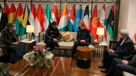 Ministri pakistanez i Çështjeve Parlamentare takohet me Amir Abdullahian në Islamabad