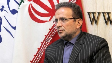 阿巴斯扎德·梅斯基尼：伊朗呼吁建立一个政治、经济和安全稳定的繁荣阿富汗