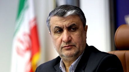 اسلامی: سازمان انرژی اتمی ایران برخلاف رویه‌های بین‌المللی اقدامی نمی‌کند
