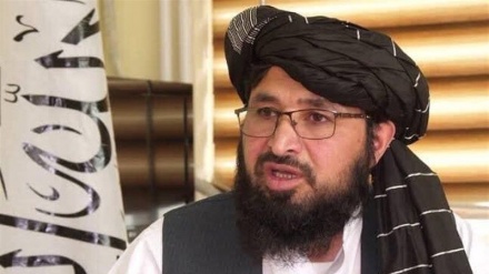 واکنش مقام طالبان به انتقادات درباره فرمان تازه ملا هبت الله