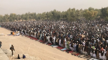برگزاری نماز طلب باران با حضور هزاران نفر در قندهار