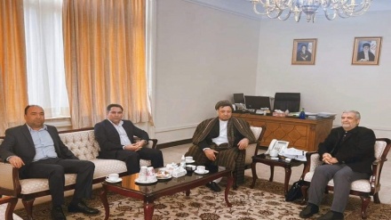 محمد محقق با نماینده ویژه ایران در امور افغانستان دیدار کرد