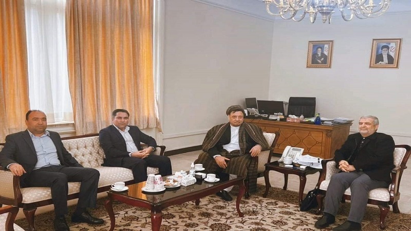 محمد محقق با نماینده ویژه دولت ایران در امور افغانستان دیدار کرد