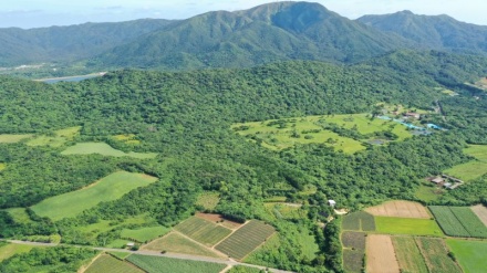 石垣島・自衛隊基地の土地価格について、市民団体が情報開示を求める