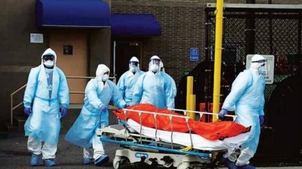 美国新冠确诊突破5000万例