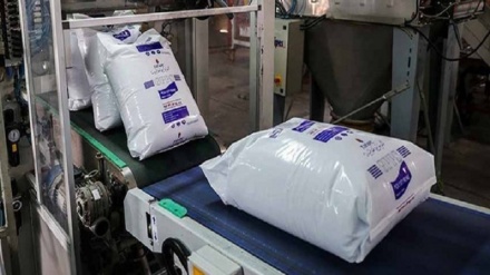 Iran expects record petrochemical sales to offset crude exports losses