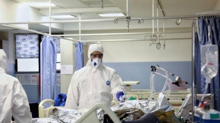 在过去24小时内，52名伊朗人染疫身亡