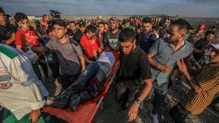 Dhjetëra palestinezë u plagosën nga militantët sionistë