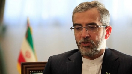 باقری کنی : توقف مذاکرات خواست ایران نبود