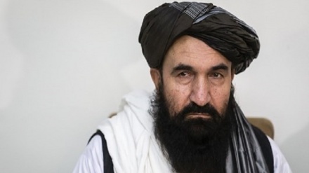 لغو ممنوعیت سفر وزیر اطلاعات و فرهنگ طالبان برای ۱۰ روز