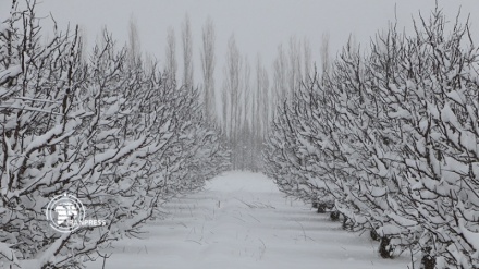 イラン西部ウルミエ郡スィールヴァーナーの雪景色