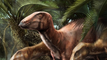 Scoperto il primo sito di dinosauri in Italia