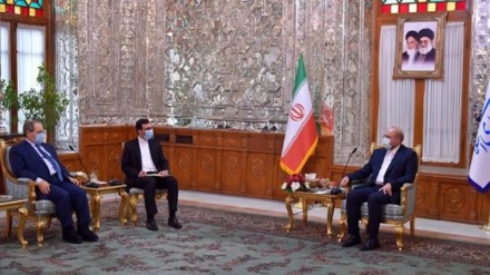 卡利巴夫强调发展伊朗与叙利亚之间的经济关系