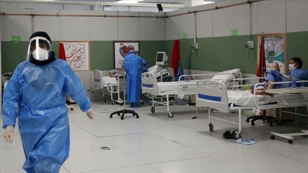 在过去24小时内，40名伊朗人染疫身亡
