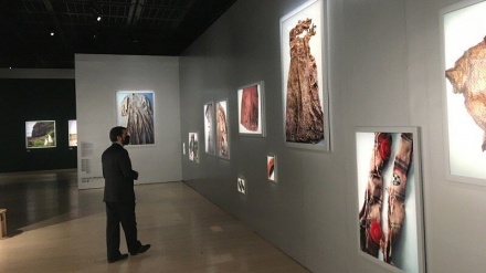 イランと日本の写真美術館の協力拡大と共同プログラムの開催