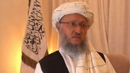 طالبان استفاده از اسعار خارجی را ممنوع اعلام کردند