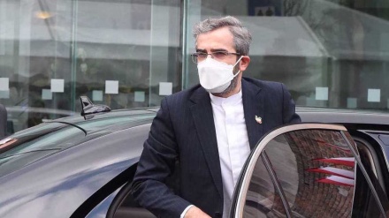 Some actors insist on blaming Iran, brush aside diplomacy in Vienna talks: Baqeri-Kani
