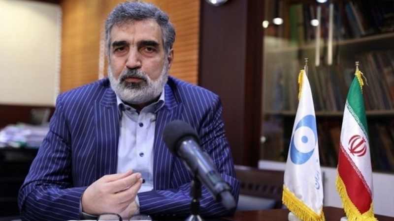 کمالوندی: همکاری ایران با آژانس بین المللی انرژی اتمی ادامه دارد