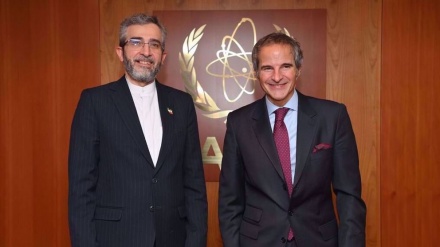 Baqeri-Kani: Iran resolved to actively, positively engage in Vienna talks