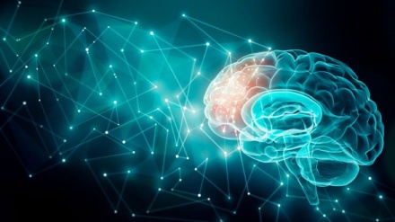 अक़लमंद इंसान की 12 अलामतें