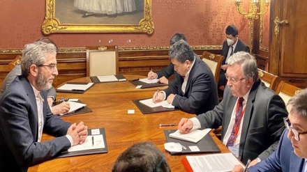 伊中俄高级谈判代表在维也纳举行三方会议