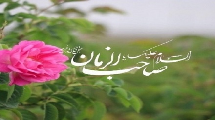 Tosə Zuhuri Cımə-84