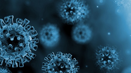 中国新型冠状病毒肺炎疫情最新情况