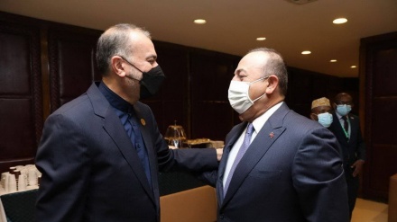 土耳其外长：伊朗和土耳其有着长期友好关系