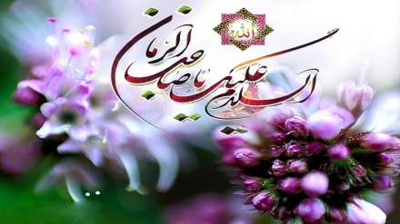 Tosə Zuhuri Cımə-81