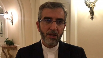 イラン外務次官、「わが国は建設的な提案でウィーン協議に臨んだ」