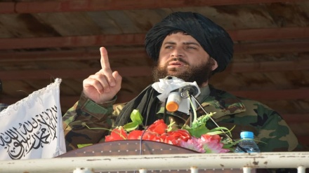 اظهارات مقام نظامی طالبان درباره اخراج نیروهای اشغالگر از افغانستان