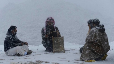  خوشحالی مردم عربستان از بارش برف در این کشور + فیلم