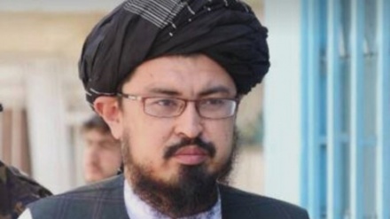 سمنگانی:کشورهای اسلامی با رژیم صهیونیستی وارد معامله نشوند