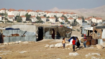 עיתון פלסטין: התקוממות הבדואים בנגב תלך ותסלים