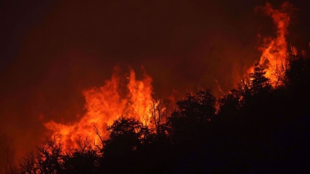 Firefighters battle forest blaze in nine provinces of Argentina